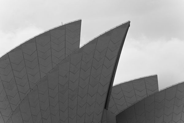 image and text 1.jpg